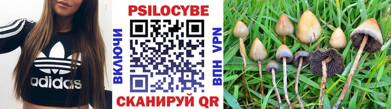 ссылка на мегу онион  Куртамыш  Псилоцибиновые грибы Magic Shrooms 